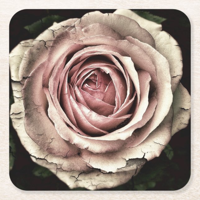 Pink Distressed Rose - Paper Coaster (Front)