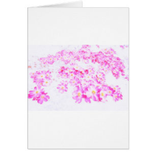 Pink Dogwood Blossom