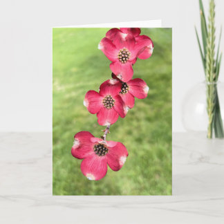 Pink dogwood blossoms  thank you card