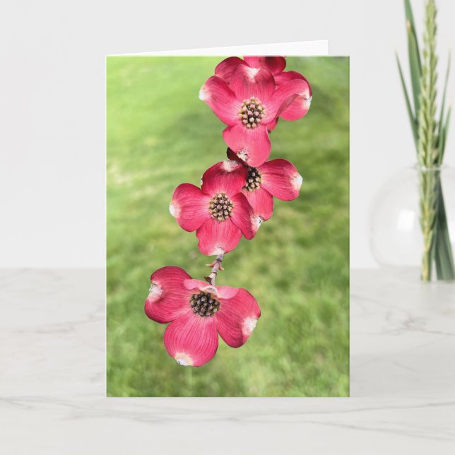 Pink dogwood blossoms  thank you card (Front)