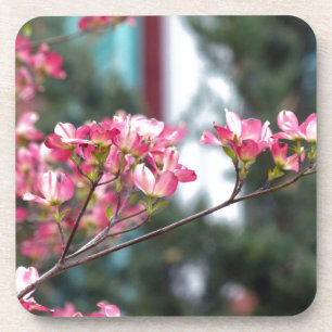 Pink Dogwood Coaster