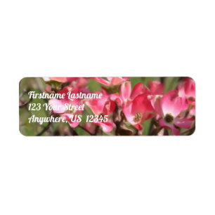 Pink Dogwood Flower Blossoms Painting Address