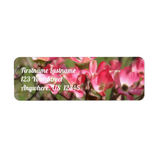 Pink Dogwood Flower Blossoms Painting Address