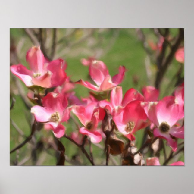 Pink Dogwood Flower Blossoms Photo Painting Poster (Front)
