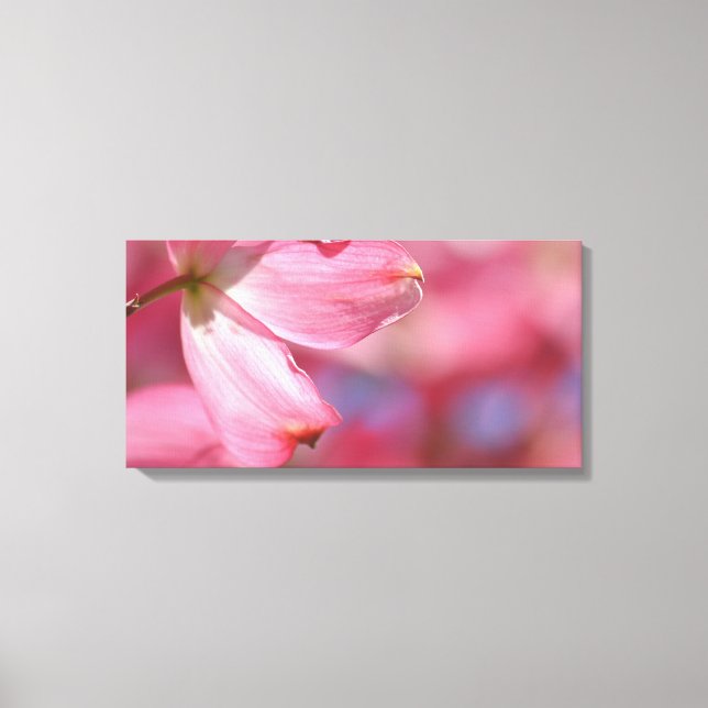 Pink Dogwood Flower Canvas Print (Front)