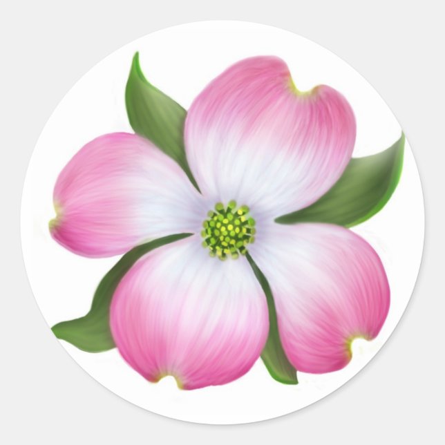 Pink Dogwood Flower Classic Round Sticker (Front)