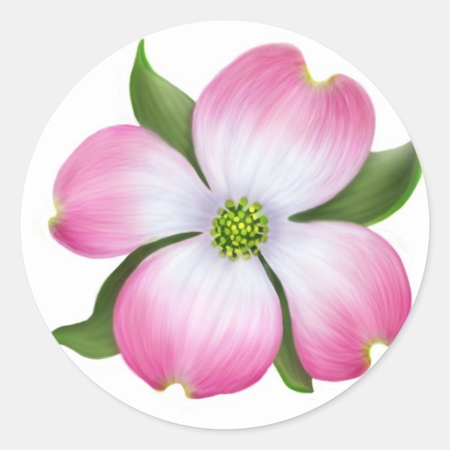 Pink Dogwood Flower Classic Round Sticker (Front)