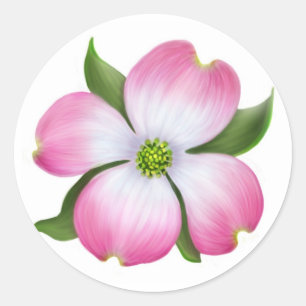 Pink Dogwood Flower Sticker
