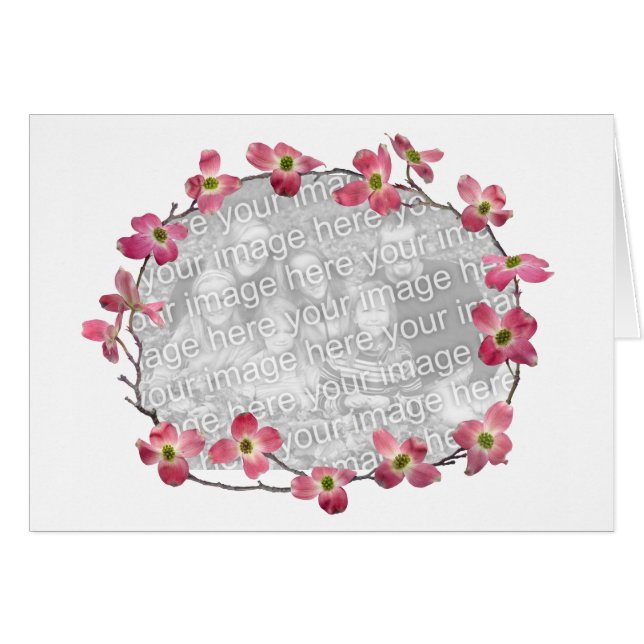 Pink Dogwood Flowers (Front Horizontal)