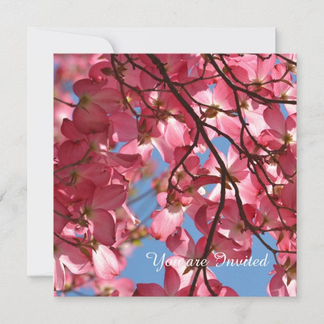 Pink Dogwood Flowers Birthday Invitation (Front)