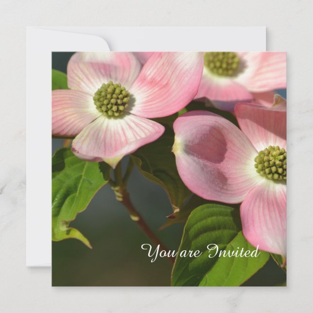 Pink Dogwood Flowers Birthday Invitation (Front)