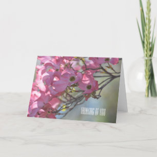 Pink Dogwood Flowers Card