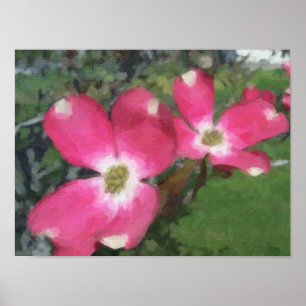 Pink Dogwood Poster