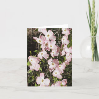 Pink Dogwood Thank You Card