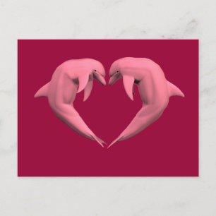 Pink Dolphins Postcard