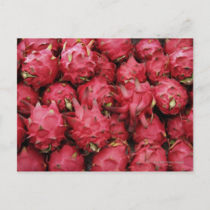 Pink Dragonfruit stacked together Postcard