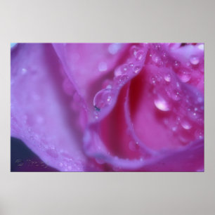 Pink Dream Poster
