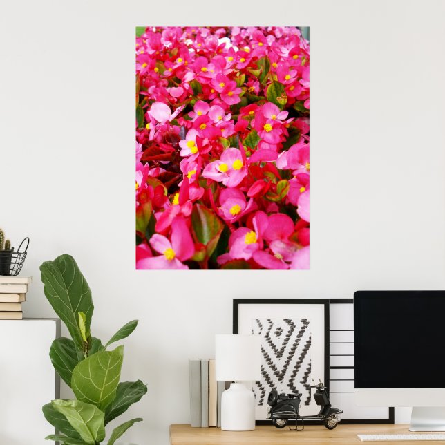 Pink Droplets Of Spring, Begonia,  Poster (Home Office)