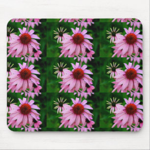 pink echinacea on green mousepad