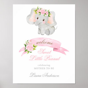 Pink Elephant Elegant Baby Shower Welcome Poster