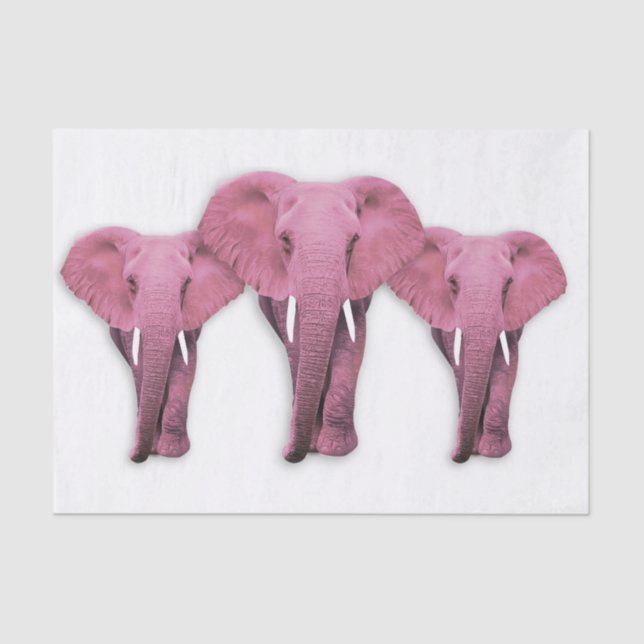 Pink Elephant Tissue Paper (Front)
