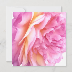 Pink English Rose Flower Floral Petals Blank Holiday Card