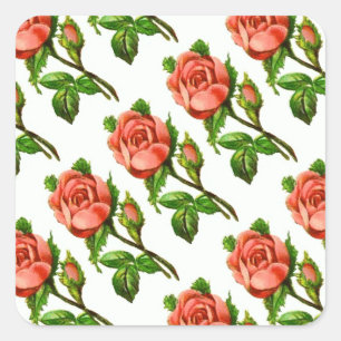 Pink English Roses Sticker