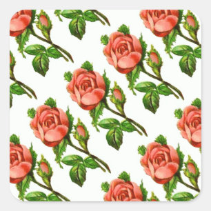 Pink English Roses Sticker