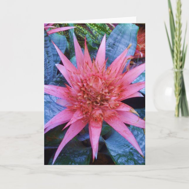 Pink Exotic Blossom Plant Greeting Card (Front)