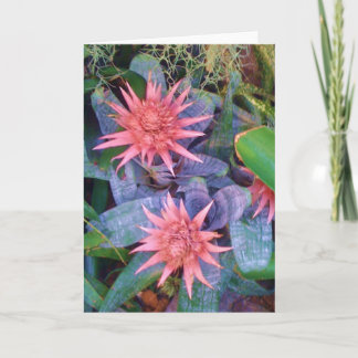 Pink Exotic Blossoms Plant Greeting Card