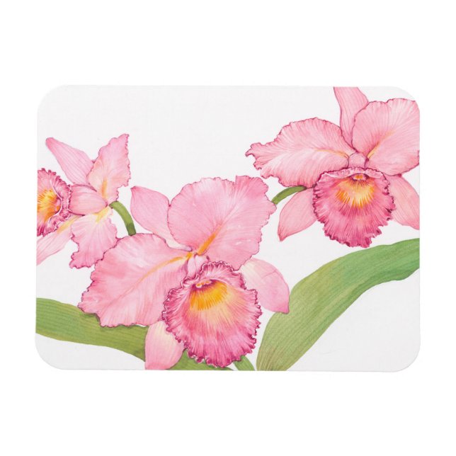 Pink Exotic Watercolor Flowers Magnet (Horizontal)