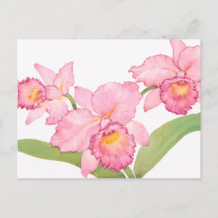 Pink Exotic Watercolor Flowers Postcard