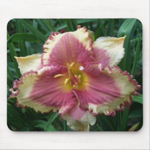 Pink Eyed Daylily Mousepad