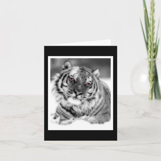 Pink Eyed Tiger Card (Front)