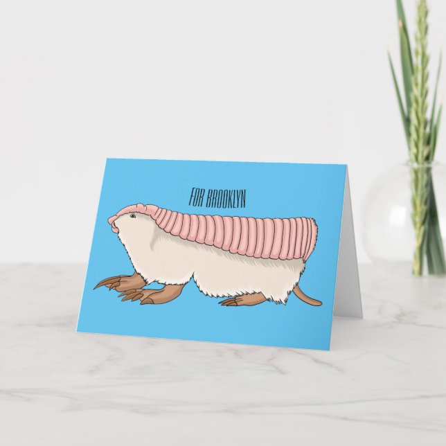 Pink fairy armadillo cartoon illustration card (Front)