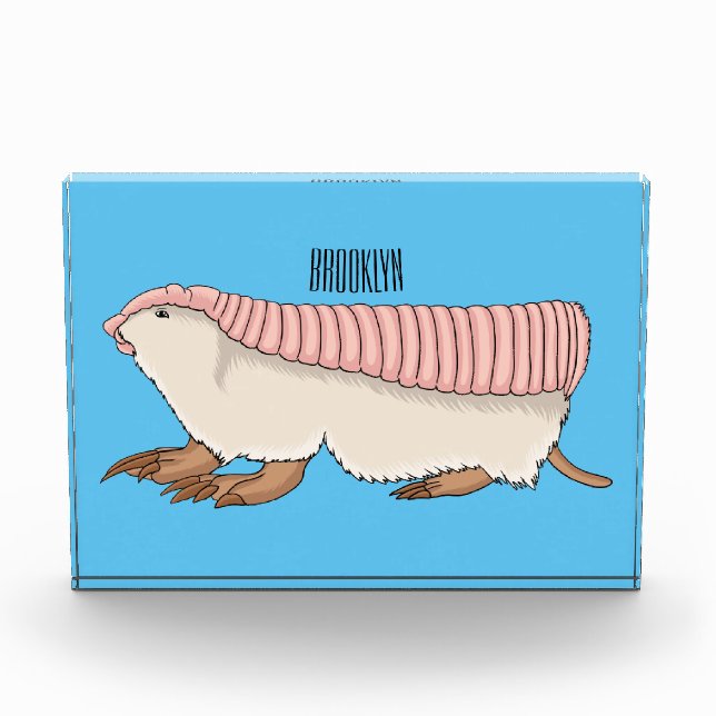 Pink fairy armadillo cartoon illustration  photo block (Front)