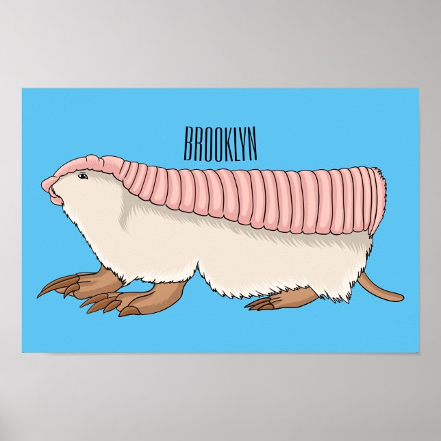 Pink fairy armadillo cartoon illustration  poster (Front)