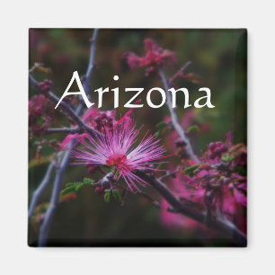 pink fairy duster magnet, Arizona Magnet