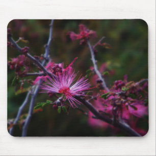 Pink fairy duster mouse mat