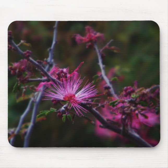 Pink fairy duster mouse mat (Front)