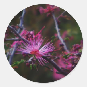 pink fairy duster sticker