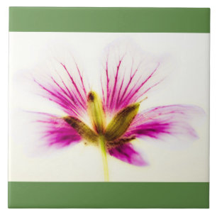 Pink Feather Flower Tile