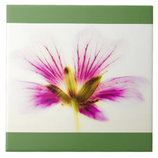 Pink Feather Flower Tile