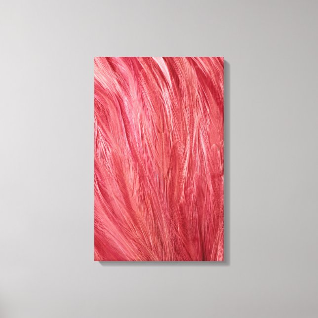 Pink Feathers Canvas Print (Front)
