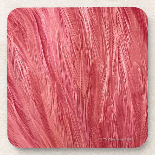 Pink Feathers Coaster (Front)