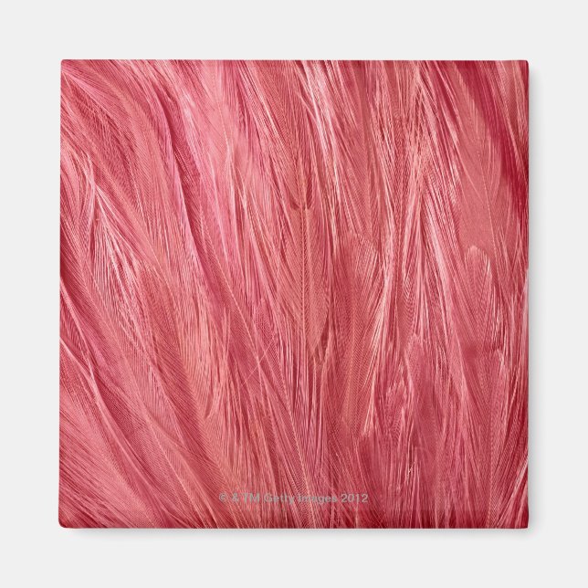 Pink Feathers Magnet (Front)