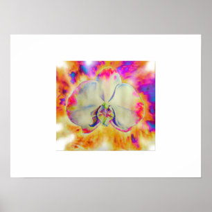 Pink Fire Orchid,  surreal watercolor florals  Poster