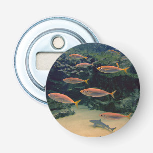 Pink Fish Shoal Bottle Opener