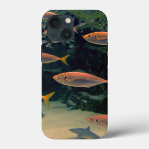 Pink Fish Shoal  iPhone 13 Mini Case