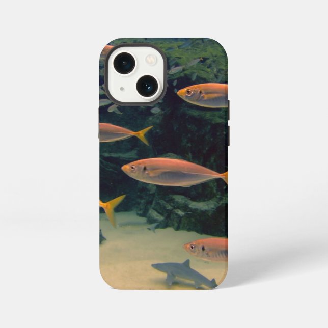 Pink Fish Shoal  iPhone Case (Back)